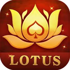 holi rummy bonus download